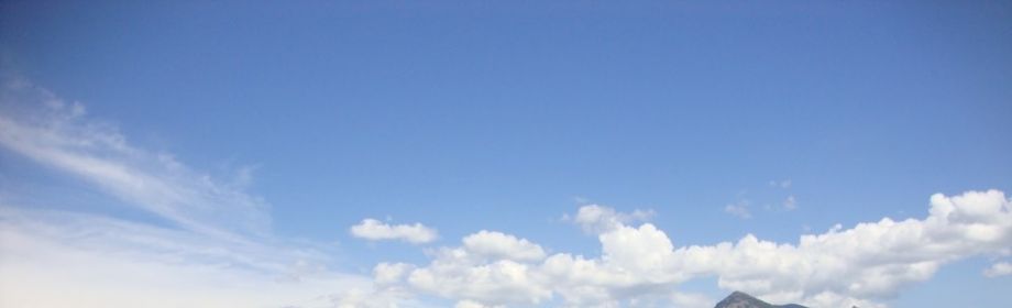 User Background